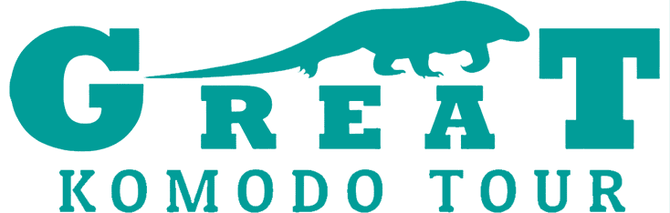 Great Komodo Tour | Komodo Boat Tour