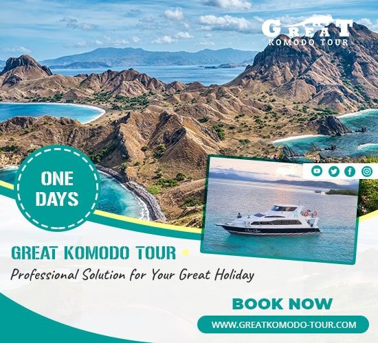 One-Day-Tour-Around-Komodo-National-Park-Using-Speed-Boat-min