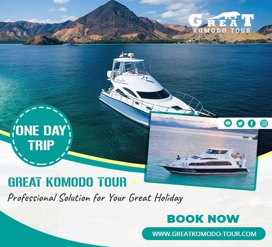 Shared-One-Day-Trip-Using-Speed-Boat-min